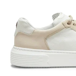 New Fratelli Rossetti And Dove Grey Leather And Suede Sneakers | White